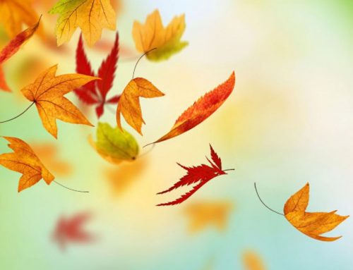 Feeling Thankful for a Warm Fall!