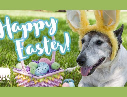 Happy Easter!